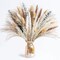 pompas Grass Dried Flowers Arrangement for Centerpiece Table Decor(White,green,yellow,red,beige)